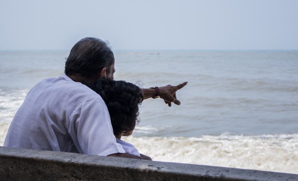 Image by Varun Kulkarni from Pixabay crop